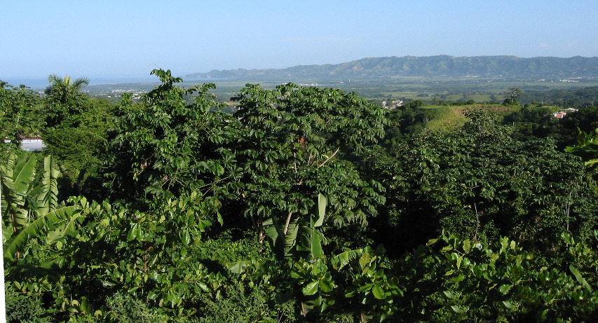 bedroom view (ocean on left)